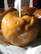 Caramel Apples